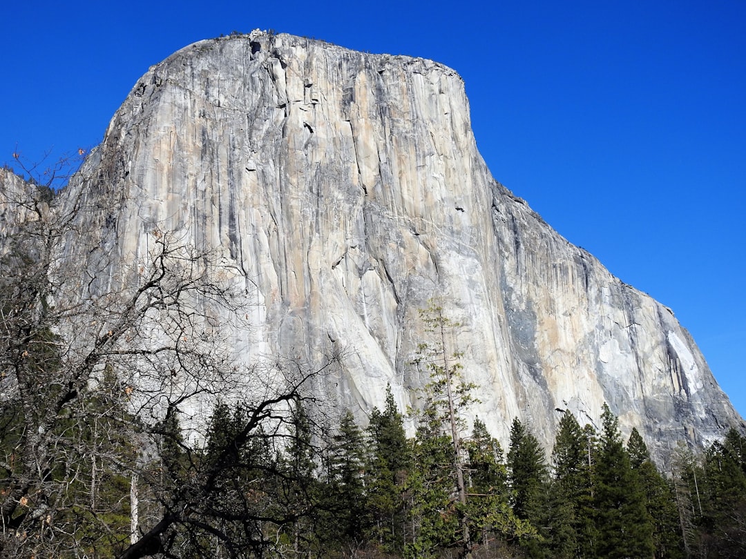 Where to Stay Near National Park