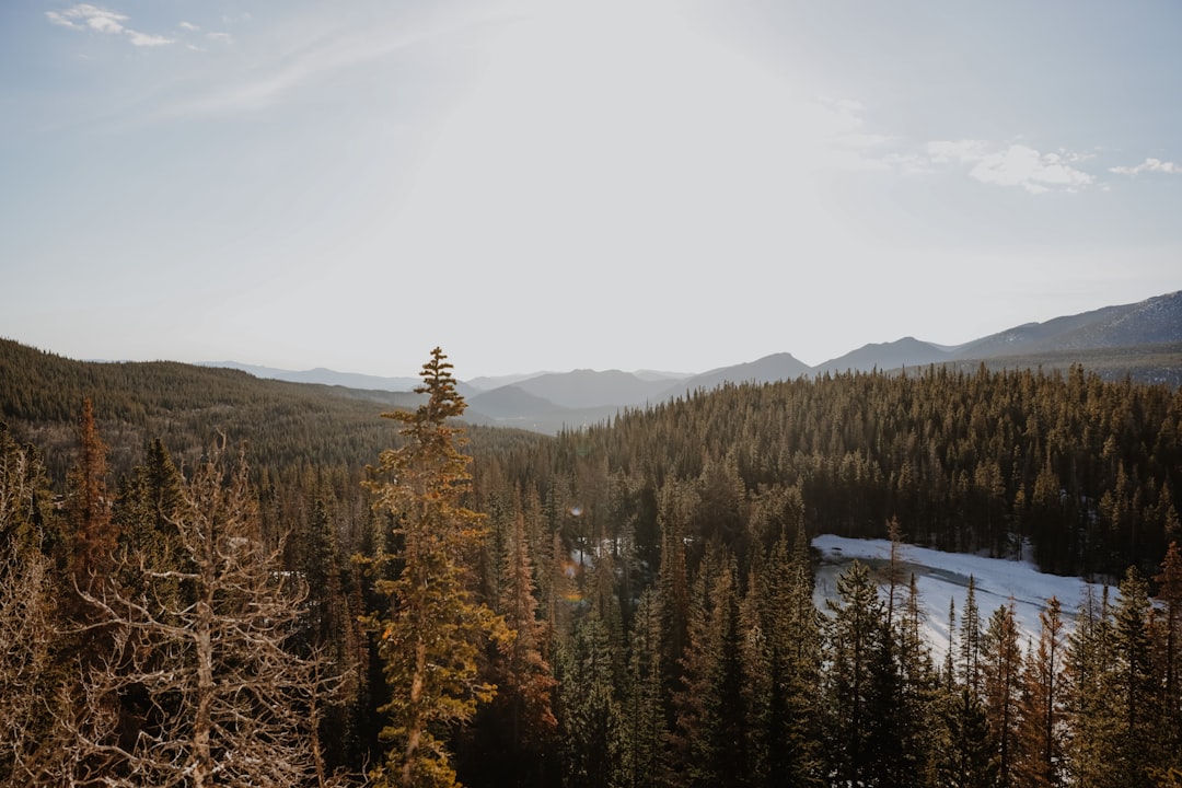 Where to Stay Near National Park