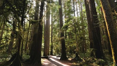 Where to Stay Near National Park