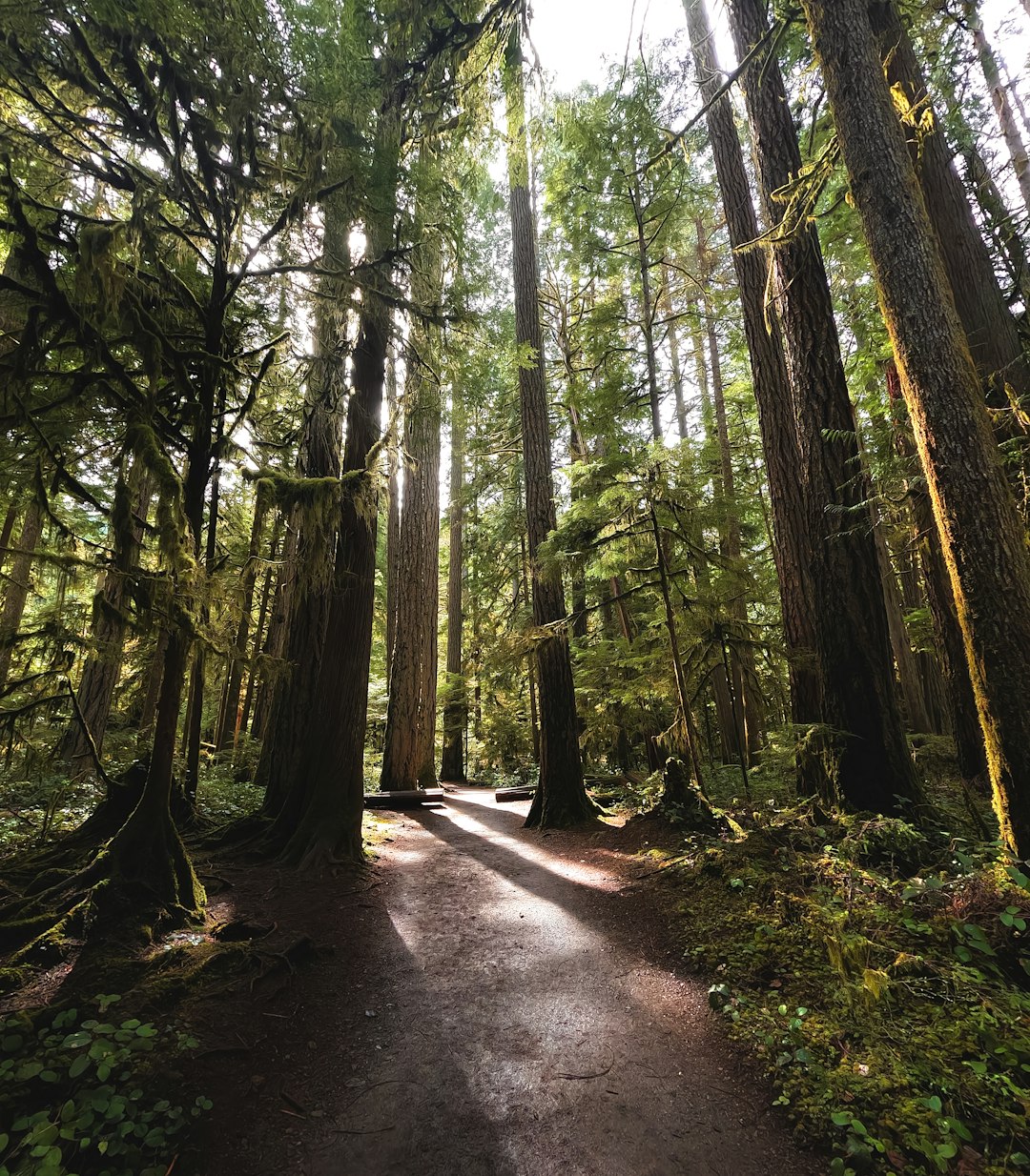 Where to Stay Near National Park