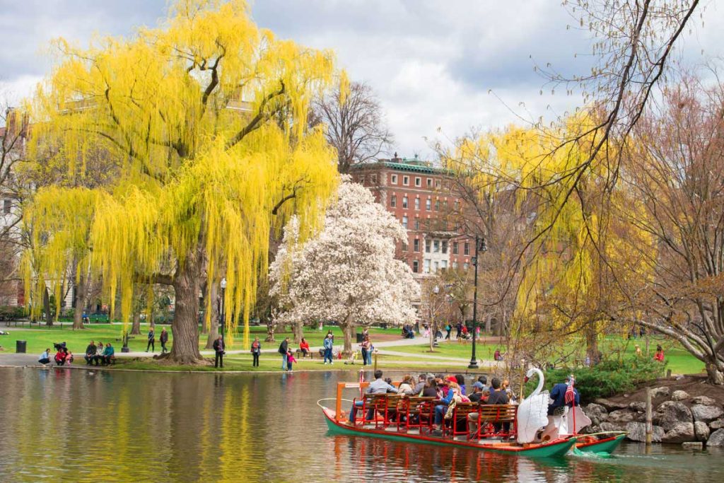 boston family guide