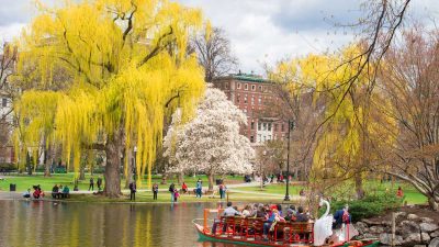 boston family guide
