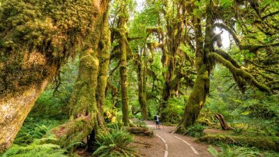 olympia national park