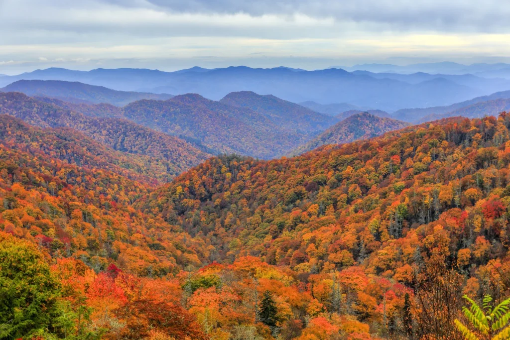 smoky mountains national park