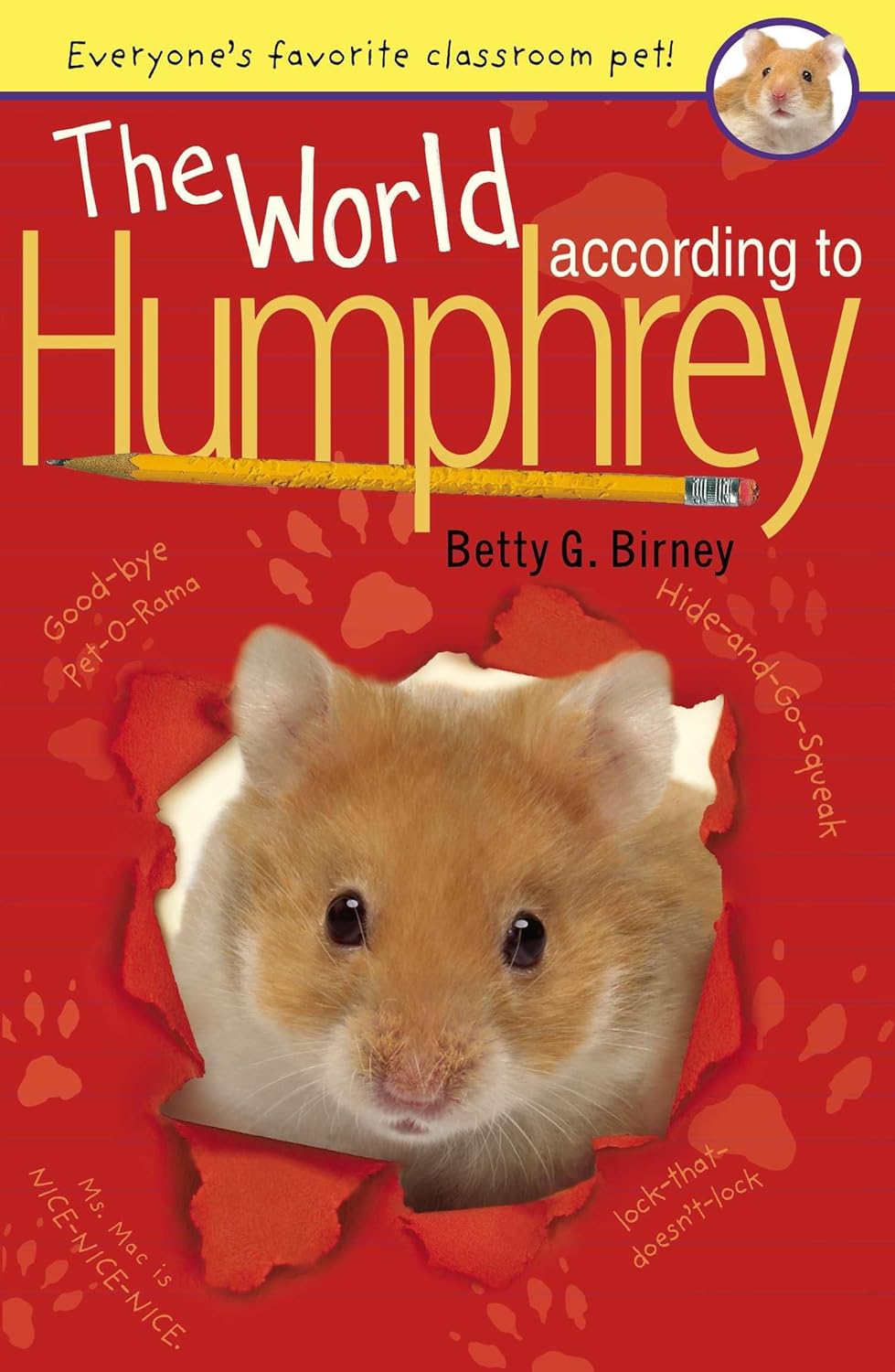 Best Book Series for Elementary Age Kids Parents Must Know