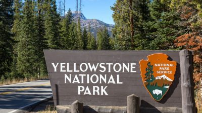 yellowstone national park family guide