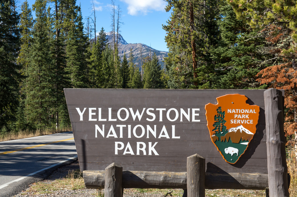yellowstone national park family guide