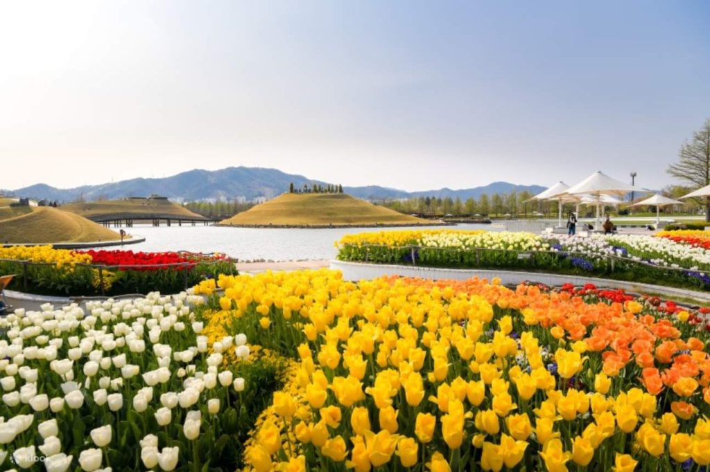 suncheon gardens