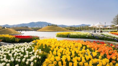 suncheon gardens
