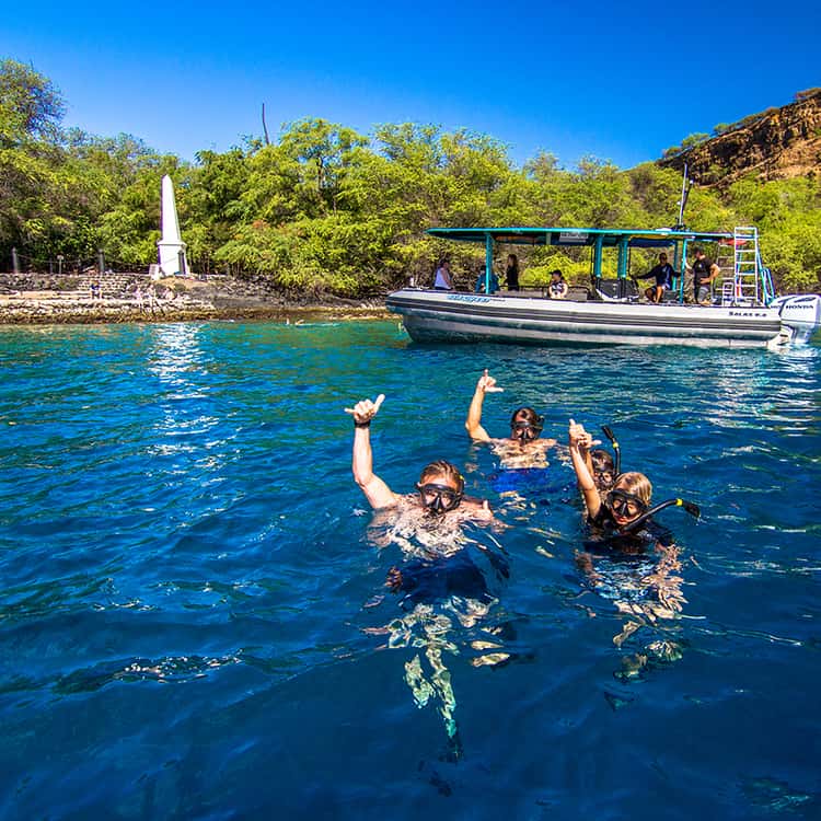 Snorkeling Guide to Honokohau Beach Big Island