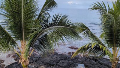 Kona Bali Kai Resort, a family-friendly stay in Big Island