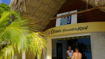 Kura Hulanda Lodge & Beach Club, a family-friendly stay in Curacao