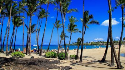 Anaehoomalu Bay palm trees and calm water Big Island