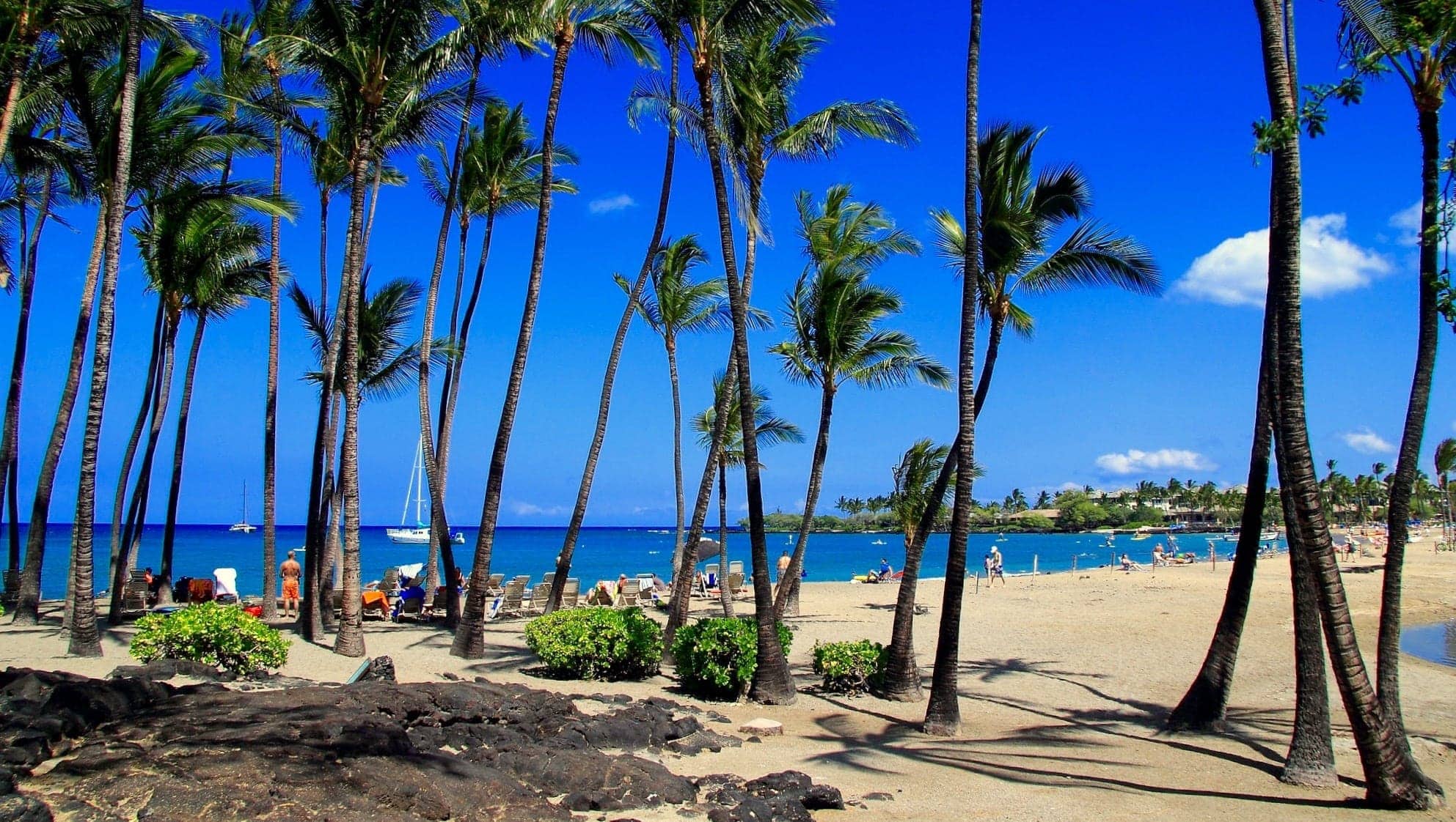 Anaehoomalu Bay palm trees and calm water Big Island