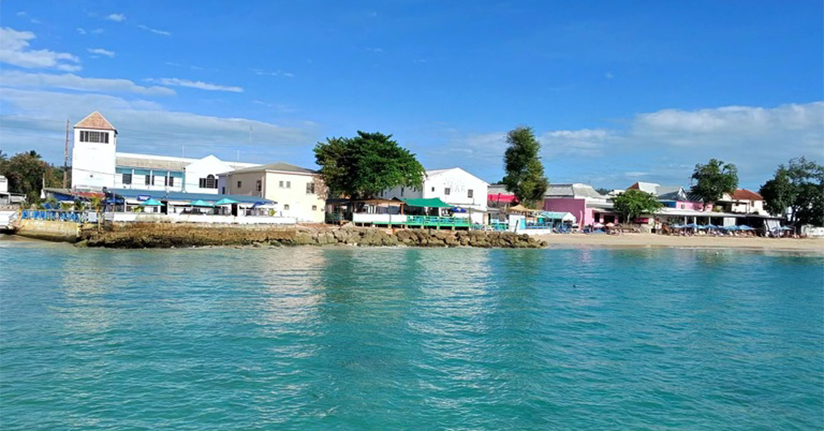 Barbados Is an Island That's Filled With Cool Things to Do Right Now, From  Mangrove Boardwalks to Rum Beach Clubs to Fish Ca