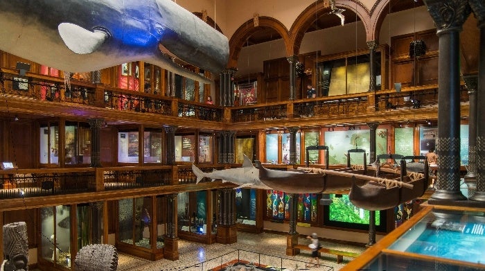 Interior of Bishop Museum Hawaiian Hall in Honolulu, Oahu