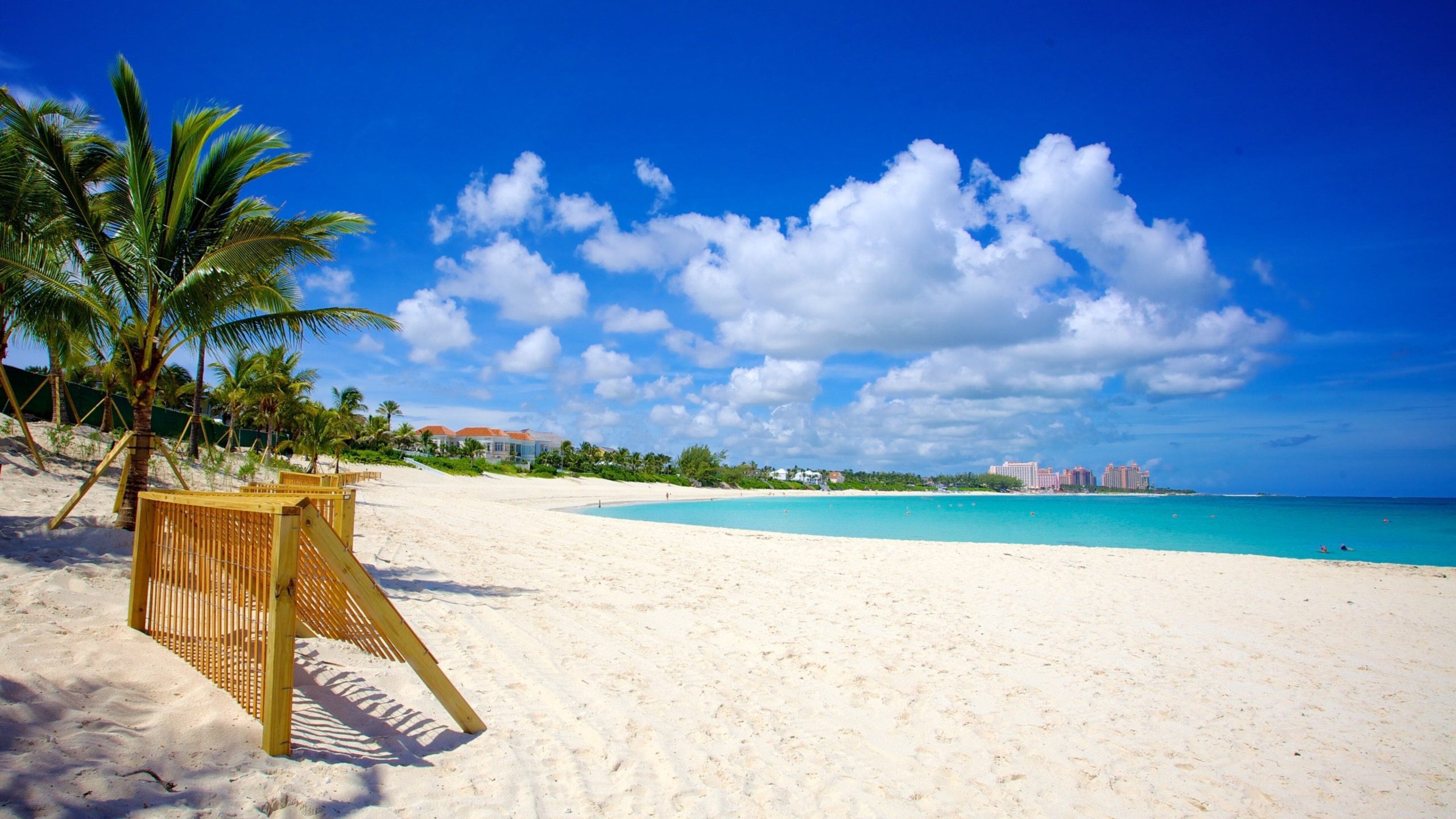 Wide white sand beach and calm turquoise water at Cabbage Beach, Paradise Island, Bahamas