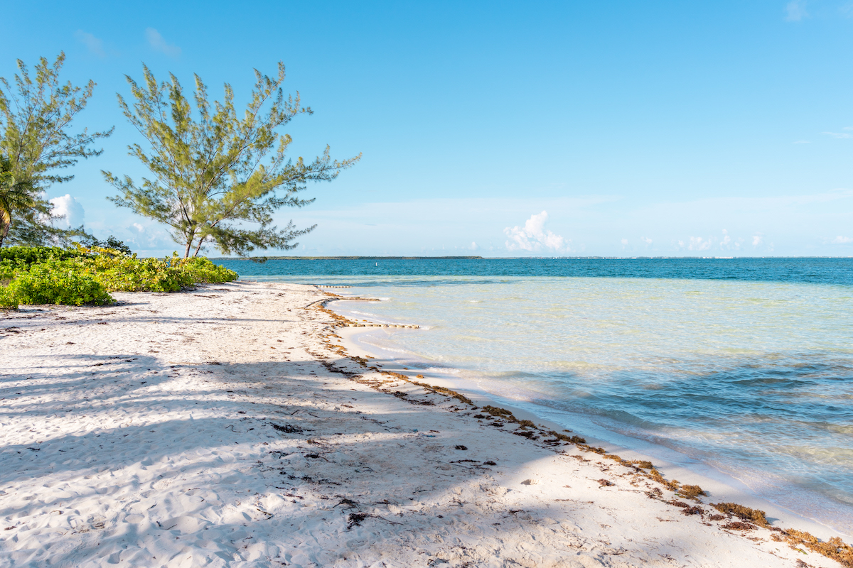 An empty, free public beach in Grand Cayman with shallow turquoise water and a sea grape tree