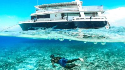 Mermaid Boat Trips - A trip to Paradise.... Klein Curacao