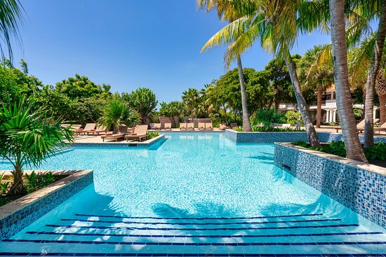 Zoetry Curacao Resort and Spa Pool: Pictures & Reviews - Tripadvisor