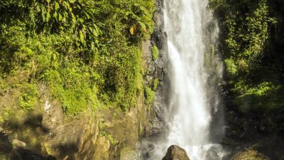 Waterfalls, Rivers and Rain Forest on Dominica - The New York Times
