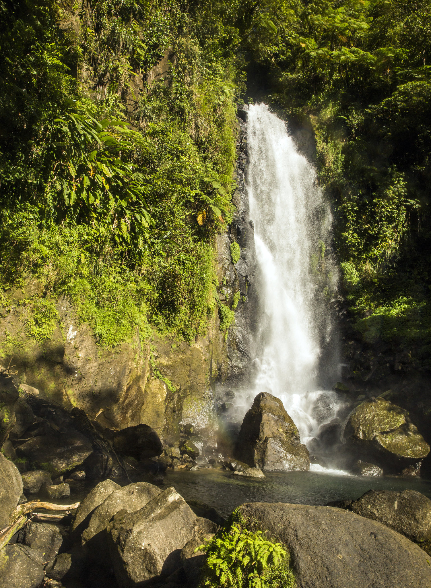 Waterfalls, Rivers and Rain Forest on Dominica - The New York Times