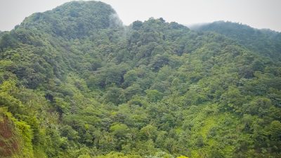 Discovering Dominica - Fortuitous Foodies