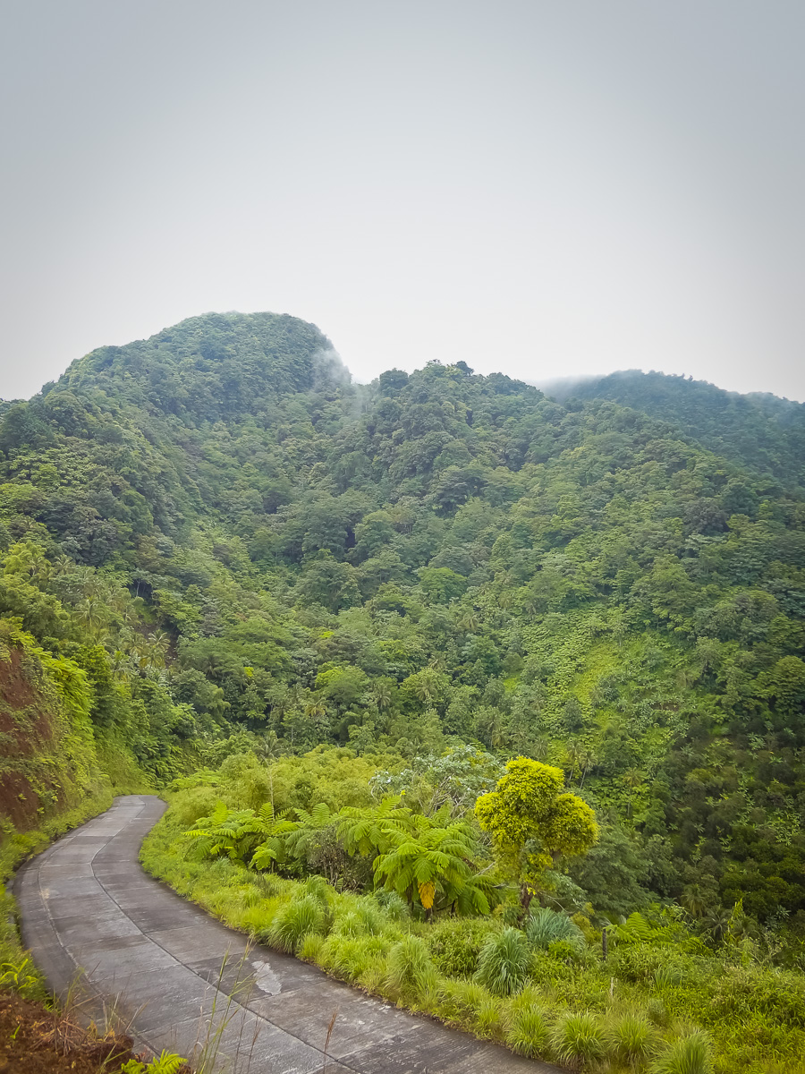 Discovering Dominica - Fortuitous Foodies