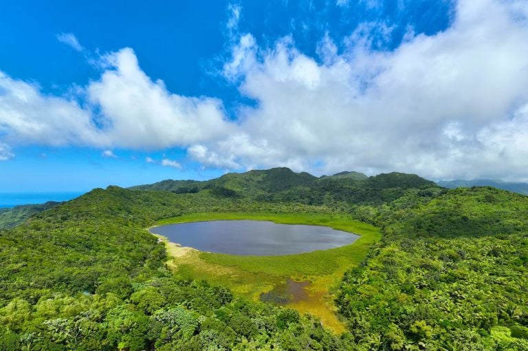 Grenada Holiday Highlights: Grand Etang National Park