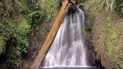 Seven Sisters Falls, Grenada – Waterfall Record