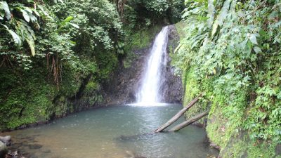 7 Beautiful Waterfalls in Grenada