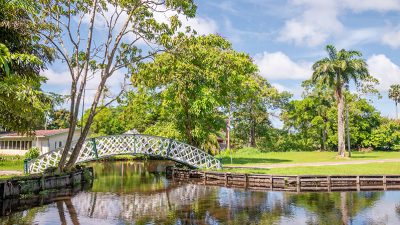 Botanical Gardens to be upgraded to attract more tourists – Protected Areas Commission
