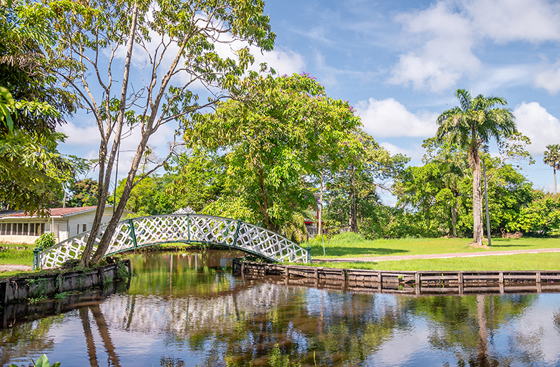 Botanical Gardens to be upgraded to attract more tourists – Protected Areas  Commission