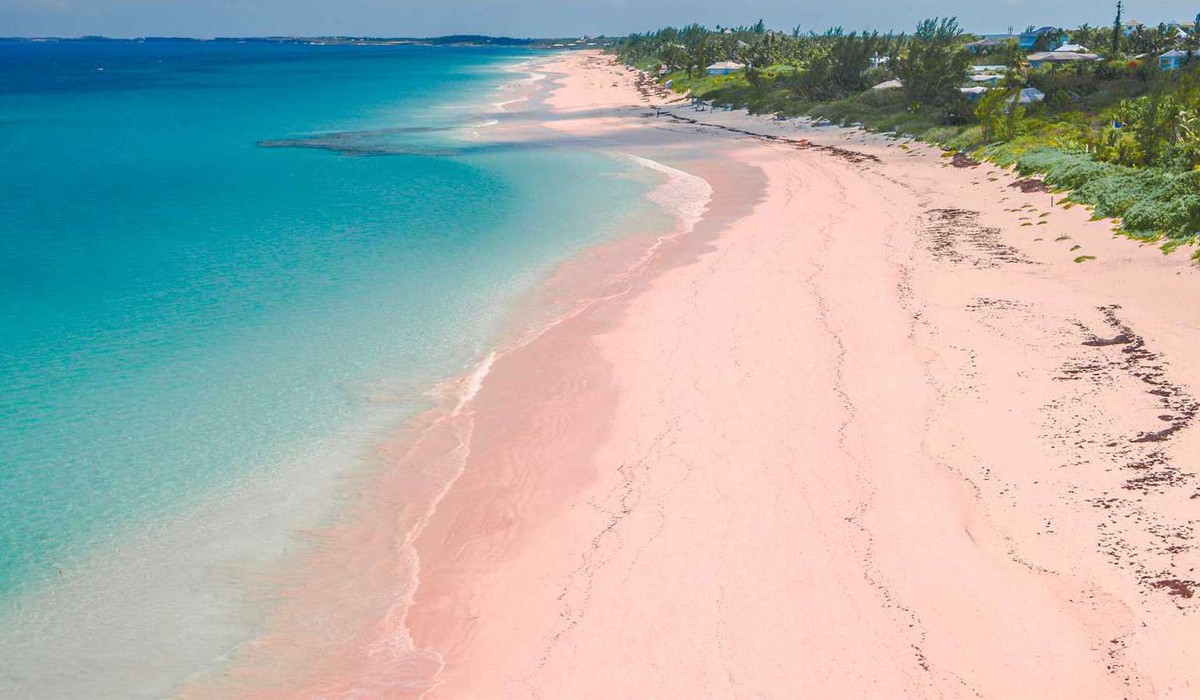 Aerial view of the pink sand beach on Harbour Island, Eleuthera, Bahamas