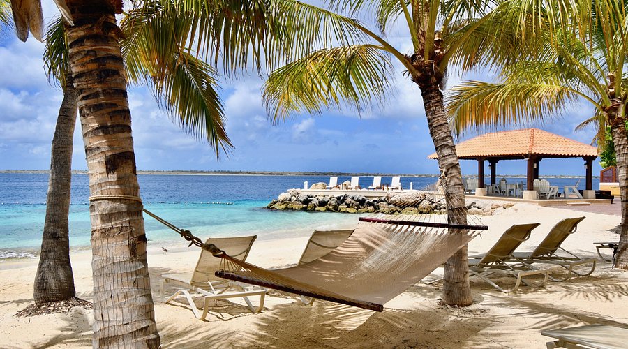 Harbour Village Beach Club, a family-friendly stay in Bonaire