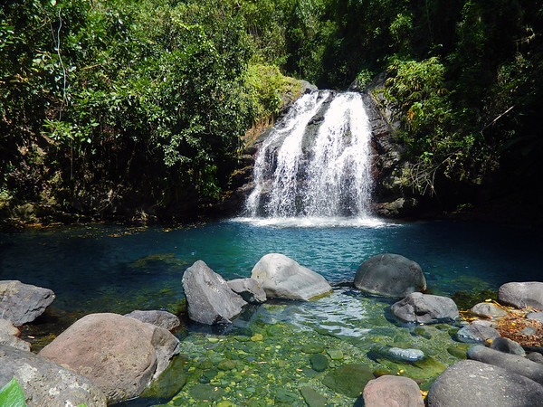Blue and John Crow Mountains: Jamaica's First UNESCO World Heritage Site –  Everything Everywhere