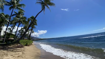 Palm-lined beach in Kaanapali, Maui with clear blue water
