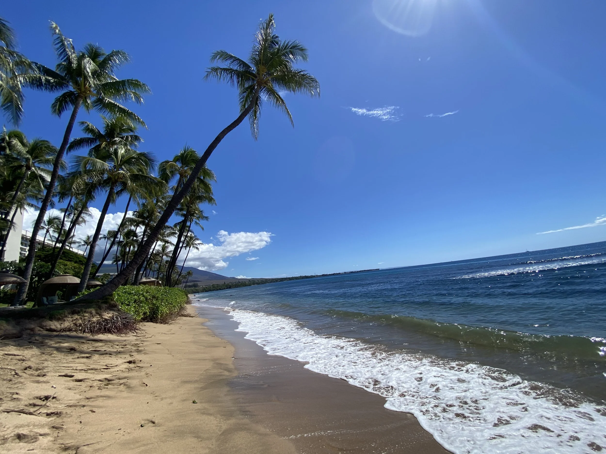Palm-lined beach in Kaanapali, Maui with clear blue water