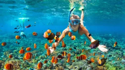 Best Places to Snorkel in Punta Cana (2025 Guide): Top Spots & Tours - | Yacht & You Punta Cana