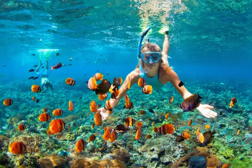 Best Places to Snorkel in Punta Cana (2025 Guide): Top Spots & Tours - |  Yacht & You Punta Cana