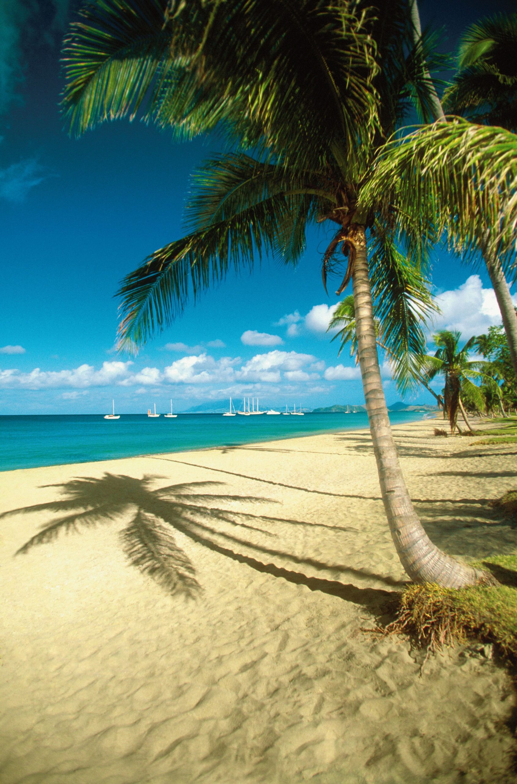Pinney's Beach Tours - Book Now | Expedia