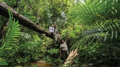 Nevis Naturally: The Benefits of the Bush