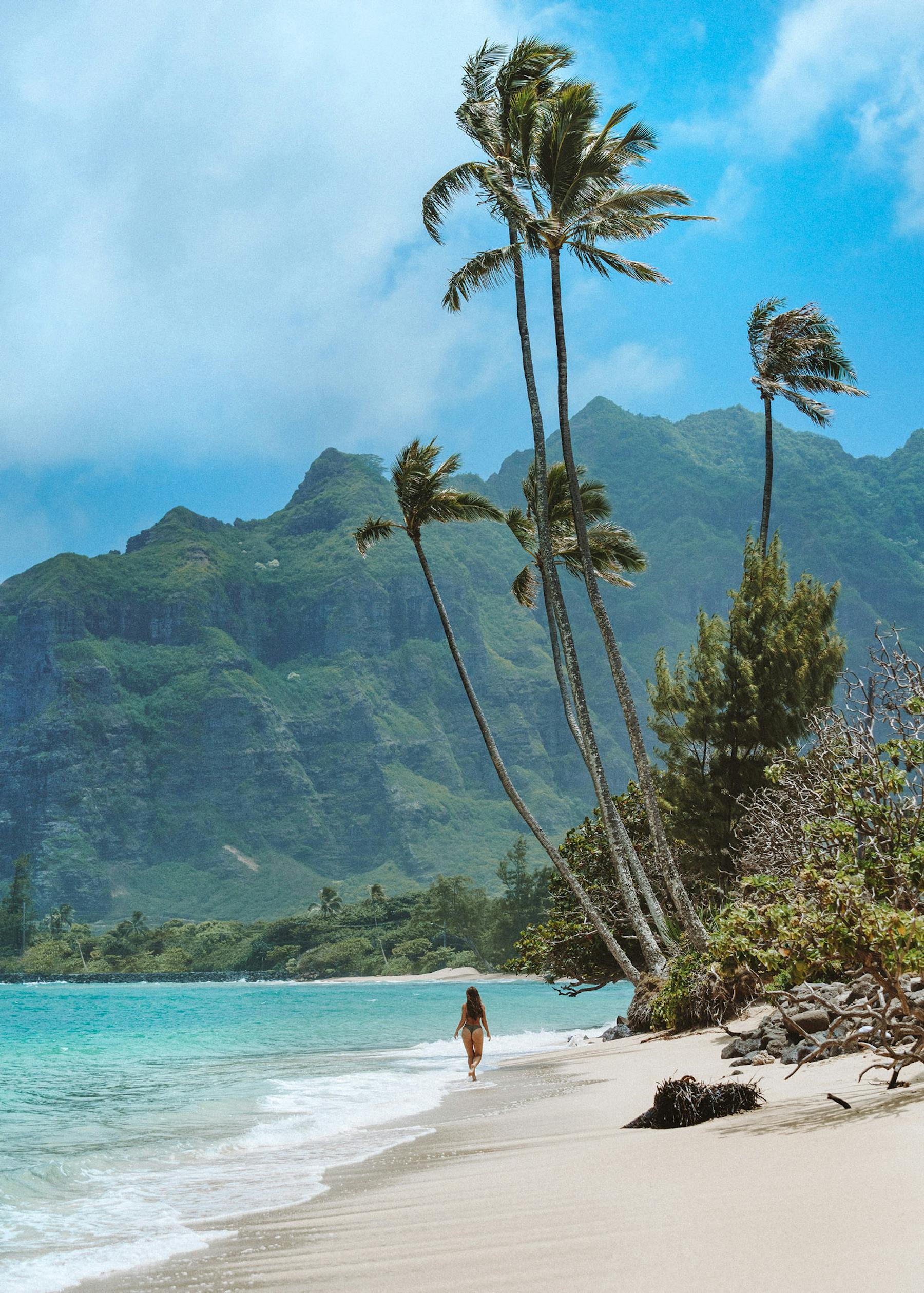 Scenic Oahu beach with dramatic green mountains and clear turquoise water