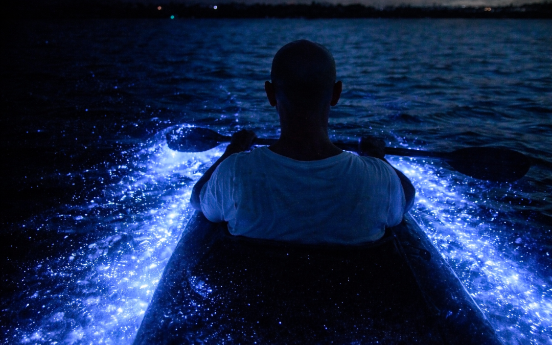 Kayaker paddling through glowing bioluminescent bay water at night in Puerto Rico