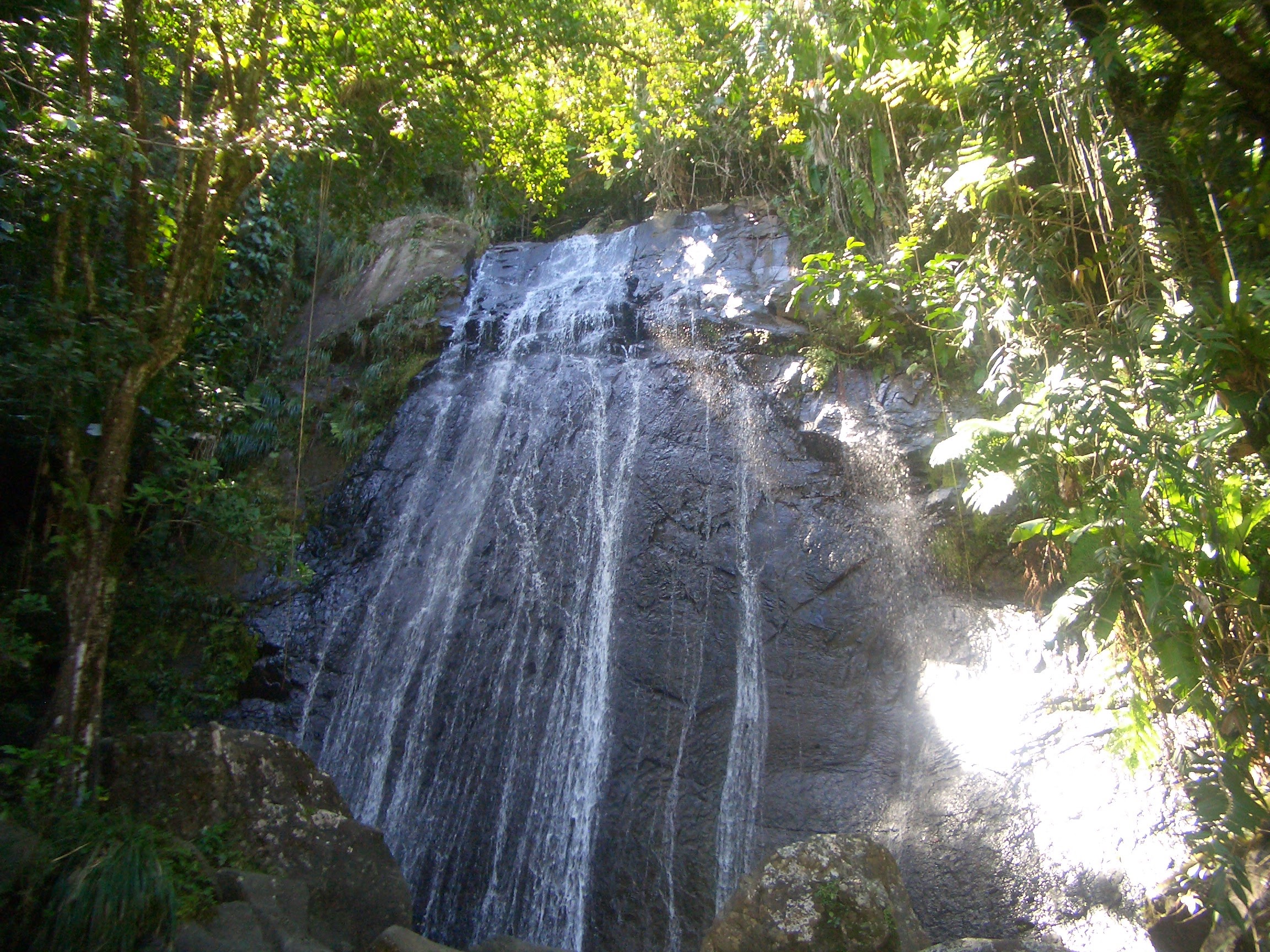 La Mina Falls waterfall in El Yunque National Forest Puerto Rico