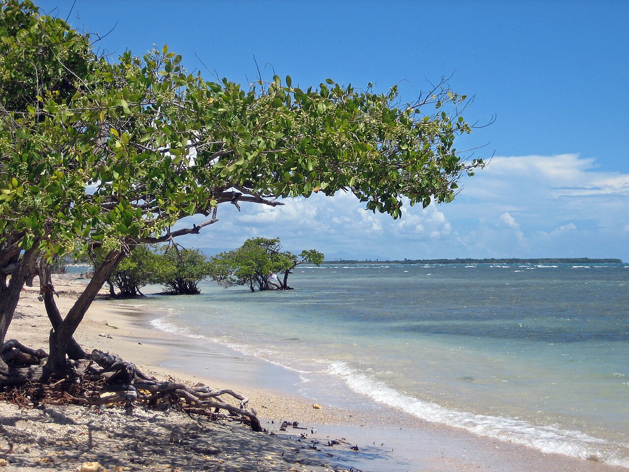 Ponce beach and coastline near Hilton Ponce Golf and Casino Resort