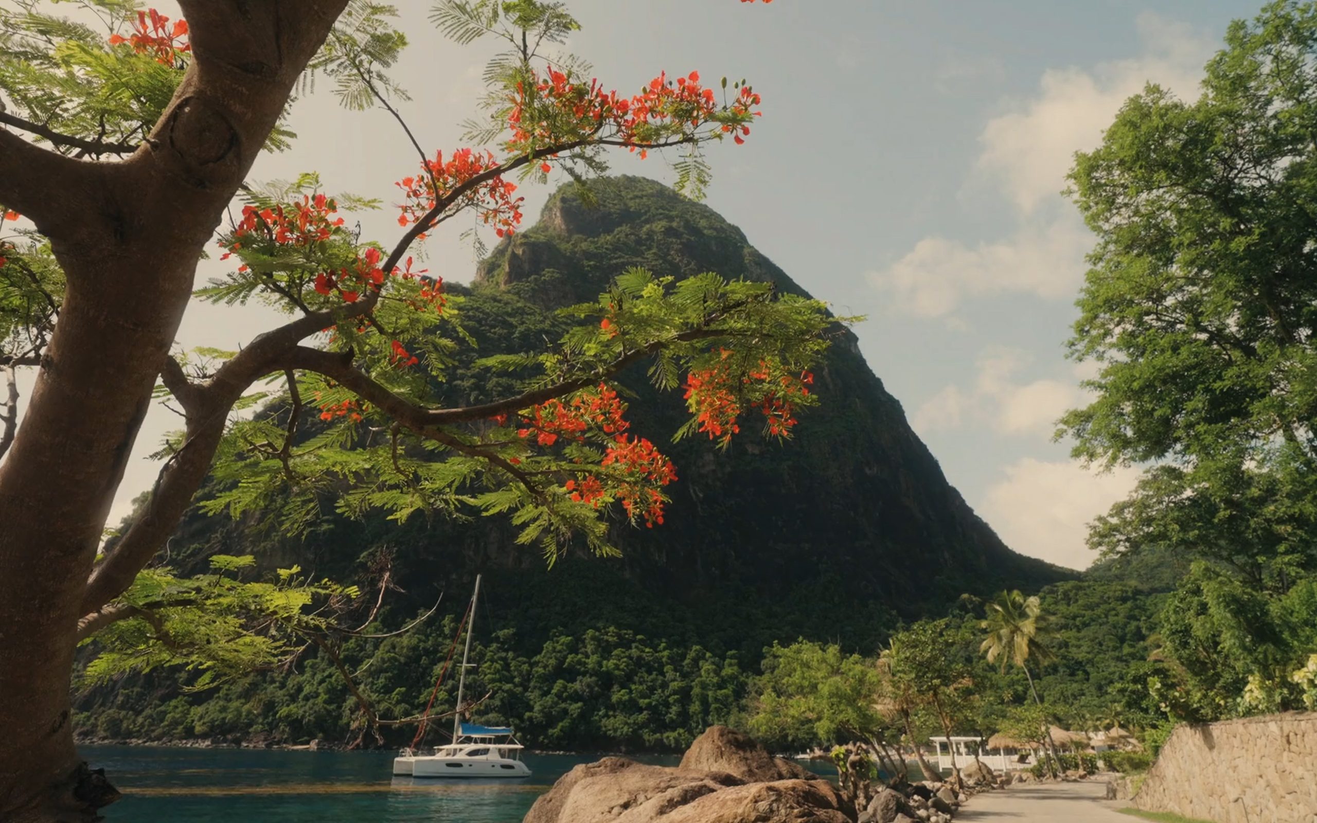 Sugar Beach A Viceroy Resort between the Pitons Soufriere St Lucia