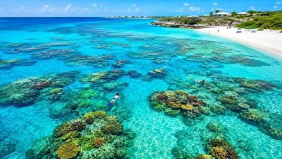 Aerial view of snorkelers swimming over a shallow coral reef near a Turks and Caicos beach