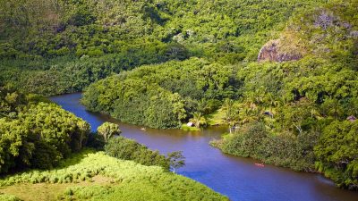 Wailua River aerial view Kauai rainforest