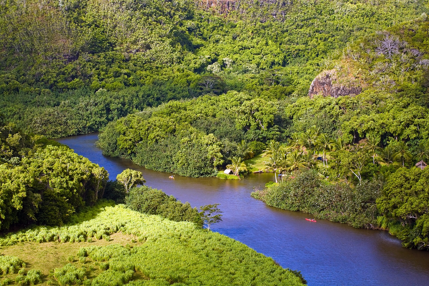Wailua River aerial view Kauai rainforest